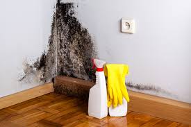 Mold Removal for HVAC Installations in Oak Harbor, WA